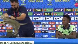 VIDEO | ¿De buena o mala suerte? Gato interrumpió conferencia de Brasil en el Mundial Qatar 2022