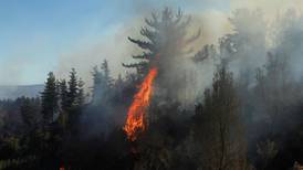 Sigue Alerta Roja en Reserva Lago Peñuelas por incendio forestal