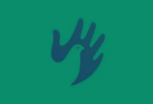 Test de personalidad: Descubre rasgos importantes sobre tu personalidad con la primera impresión