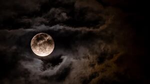 Encuentra el amor de acuerdo a la fase lunar según TikTok