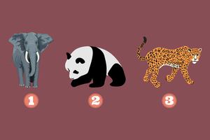 Test de Personalidad: Elige un animal y descubre qué camino debes seguir