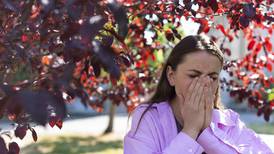 Especialistas aclaran mitos y verdades sobre alergia de otoño: ¿Sirve el propóleo? ¿Se puede dejar de tener la condición?