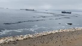 VIDEO | Pescadores denuncian manchas negras en la costa de Valparaíso y Viña del Mar