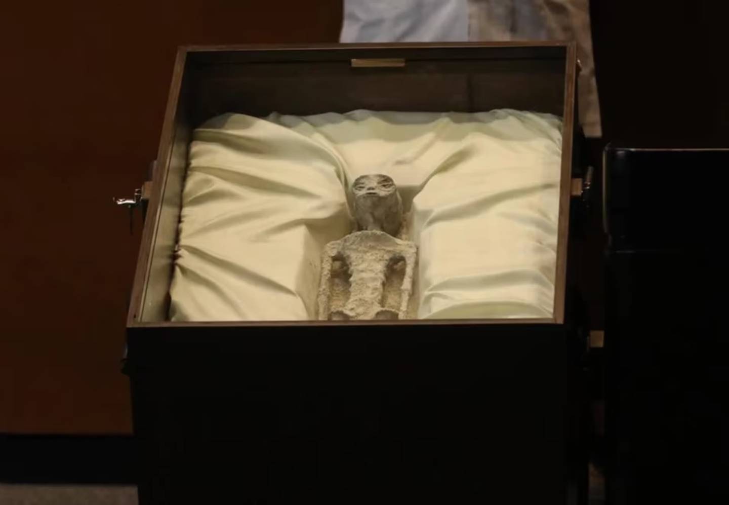 Supuesto cuerpo de alienígena en una caja, sobre una almohadilla blanca