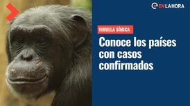 Viruela del Mono cada vez más cerca de Chile: Estos son los países con casos confirmados
