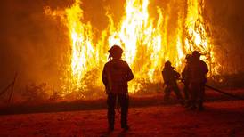 Hubo 17 muertos: ¿Por qué la fiscalía investiga a compañias eléctricas por rol en mega incendios?