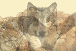 Test de personalidad: ¿Cuál es tu animal protector interno?