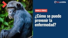 Viruela del Mono: ¿Cuáles son las medidas a tomar para prevenir esta enfermedad?
