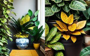 Mantén a tu hogar protegido de las arañas con esta planta