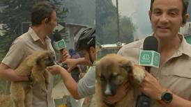 "Me dio una pena": Gonzalo Ramírez se transformó en héroe y rescató a un perrito durante los incendios en Tomé