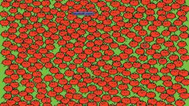 Test Visual: Pon a prueba tu agudeza visual y encuentra a las manzanas escondidas entre los tomates en menos de 10 segundos