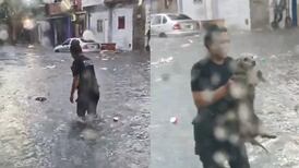 VIDEO | Tormenta en Buenos Aires: Policía realiza heroico rescate de un perrito en medio de una inundación