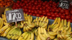 Canasta Básica de Alimentos: Las frutas son los productos que más aumentaron su valor estos últimos 12 meses