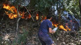 VIDEO | Incendios forestales: hay 70 en combate y 449 mil hectáreas consumidas