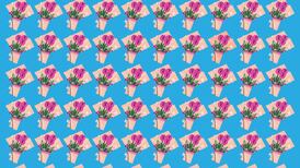 Test Visual: ¿Eres capaz de encontrar los tres ramos de flores diferentes en 15 segundos?