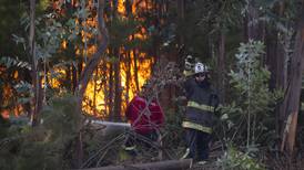 Incendios forestales en Chile: ¿Con qué ayudar a voluntarios y damnificados?