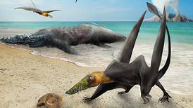 Descubren restos fósiles de un reptil volador del período Jurásico