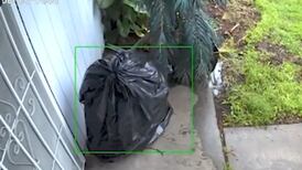 VIDEO | Sujeto se disfrazó de bolsa de basura para robar un paquete en Estados Unidos