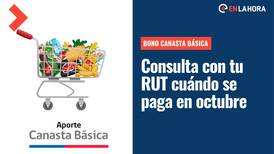 Bono Canasta Básica: ¿Cómo consultar con el RUT la fecha de pago de octubre?
