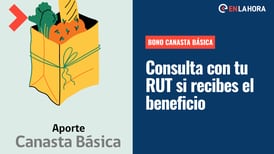 Bono Canasta Básica: Solo con tu RUT puedes saber si cumples con los requisitos para recibir el beneficio