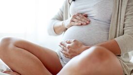Embarazadas desde los cinco meses pueden recibir un aporte de $20 mil mensuales 