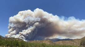 VIDEO | Incendio forestal en Curacaví: Bomberos combate siniestro que ya consumió 120 hectáreas