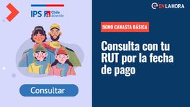 Bono Canasta Básica: ¿Cuál es el monto que se entrega en octubre y cómo consultar con el RUT mi fecha de pago?