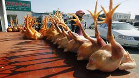 China detectó el primer contagio en humanos de la gripe aviar "H10N3"