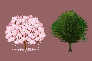 Test de Personalidad: Elige uno de los árboles y descubre si eres una persona que echa raíces fácilmente