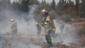 Incendios Forestales: Máquina agrícola en mal estado causó siniestro en sector de Panguipulli