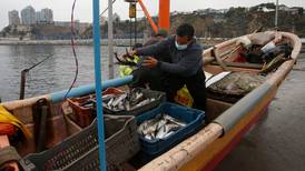 Paro pescadores: estos son los motivos de sus manifestaciones