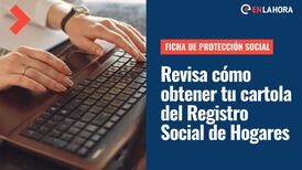 Registro Social de Hogares: Revisa cómo sacar tu ficha de protección social