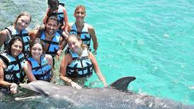 Estaban todos muy emocionados: La increíble experiencia de Rafa Araneda, Marcela Vacarezza y sus hijos al nadar con delfines