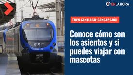Tren Nocturno Santiago-Concepción: Conoce cómo son los asientos y si puedes viajar con mascotas