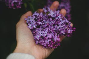 Olvídate de la migraña y la ansiedad tomando té de lavanda