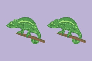 Test Visual: ¿Podrás encontrar las 3 diferencias entre los camaleones en solo 10 segundos?