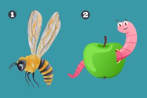 Test de personalidad: ¿Abeja o lombriz? Descubre si eres alguien que sabe trabajar en equipo de manera colaborativa