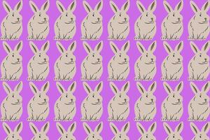 ¡Es casi imposible! Encuentra el conejo diferente a los demás en tan solo 7 segundos