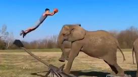 El genial punto de un basquetbolista con ayuda de un elefante