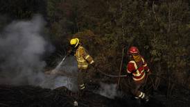 Incendios forestales en Pirque: Senapred decreta alerta roja en la zona