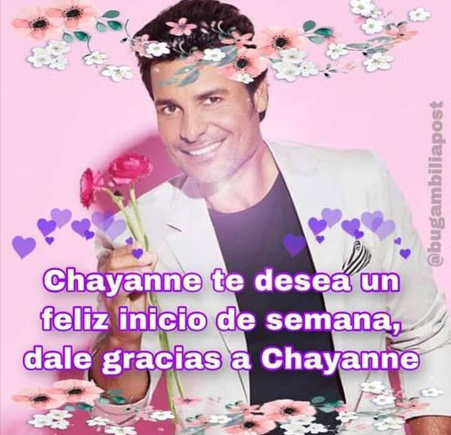 Chayanne sonriendo con una rosa en la mano y una frase sobre él que dice "Chayanne te desea un feliz inicio de semana, dale gracias a Chayanne".