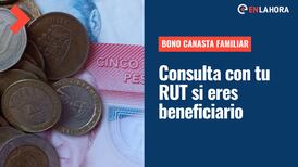 Bono Canasta Familiar 2022: Consulta con tu RUT si resultas beneficiario y el monto que recibirás