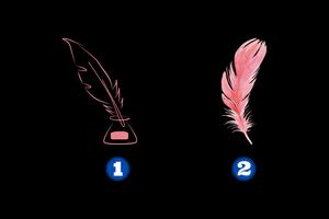 Elige una de las plumas y recibe un consejo para el resto del mes