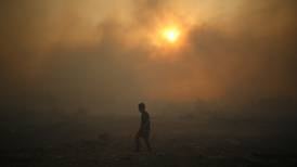 3.400 hectáreas se han quemado a raíz de incendios forestales en la región del Ñuble