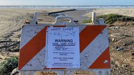 Cierran playa en Estados Unidos por mortal ataque de tiburón blanco contra surfista