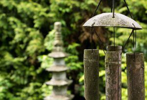 Armonizando espacios: un viaje hacia la energía positiva con Feng Shui