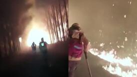 VIDEO | Incendios forestales: Brigadistas de Conaf logran escapar de "túnel" de fuego en Traiguén