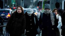 Ola de frío: decretan "alerta agrometeorológica" para siete regiones del país