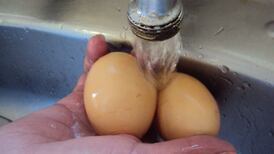 ¿Hay que lavar los huevos antes de guardarlos? La respuesta te sorprenderá