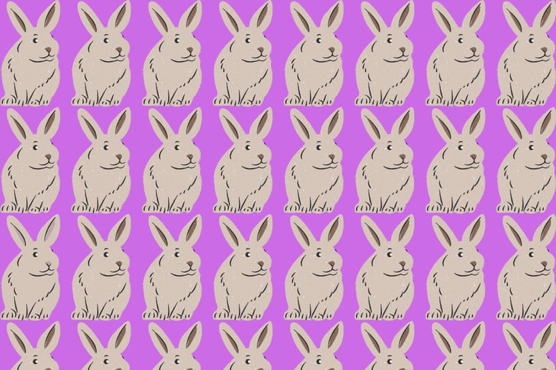 En este test visual hay muchos conejos iguales, sin embargo, uno tiene un detalle de otro color.